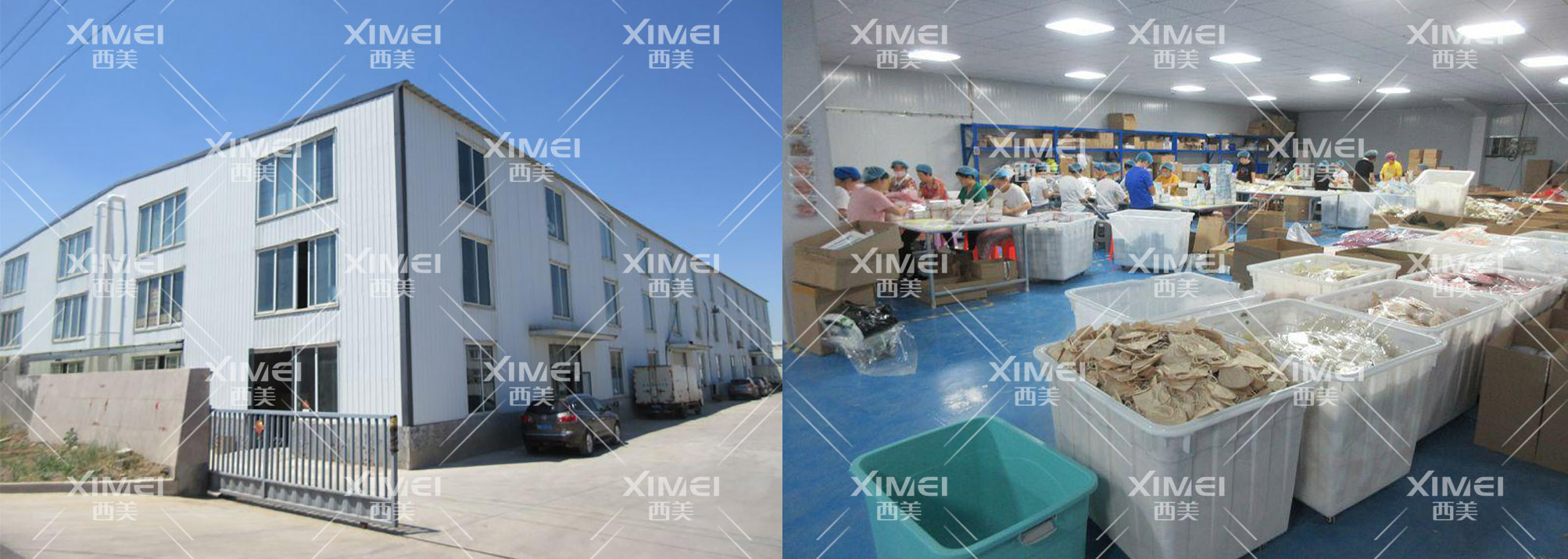 恭喜青岛XX医疗科技有限公司顺利通过BSCI验厂审核(图1) 恭喜青岛XX医疗科技有限公司顺利通过BSCI验厂审核(图1)