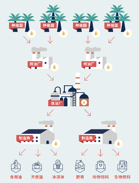 RSPO认证(图3) RSPO认证(图3)