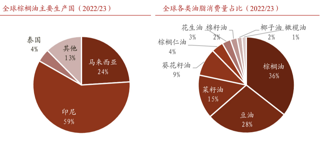 RSPO认证助推棕榈油产业可持续(图3) RSPO认证助推棕榈油产业可持续(图3)