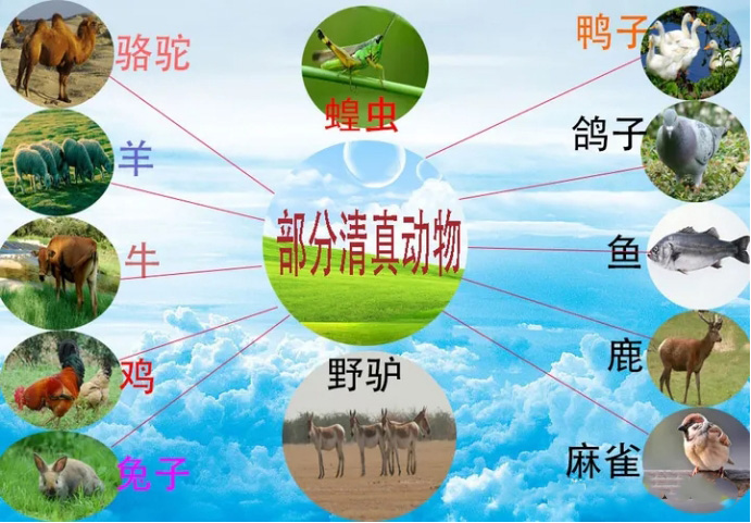 如何申请Halal认证?Halal认证要求及注意事项全面解析(图2) 如何申请Halal认证?Halal认证要求及注意事项全面解析(图2)