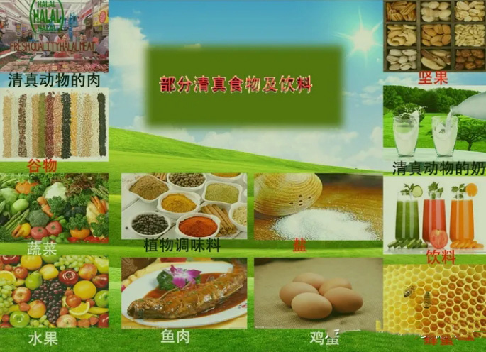 如何申请Halal认证?Halal认证要求及注意事项全面解析(图4) 如何申请Halal认证?Halal认证要求及注意事项全面解析(图4)